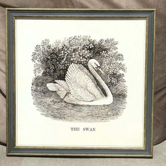 NWT Vintage Swan Print Art Nursery Decor Bird Etching Farmhouse Cottagecore - Picture 3 of 10